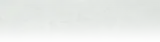 fondo Tamara