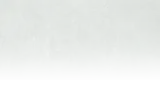 fondo
