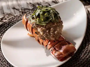 Fresh seafood dishes in Cabo