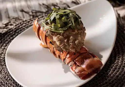 Fresh seafood dishes in Cabo