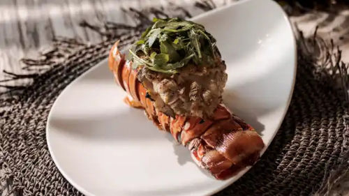 Fresh seafood dishes in Cabo