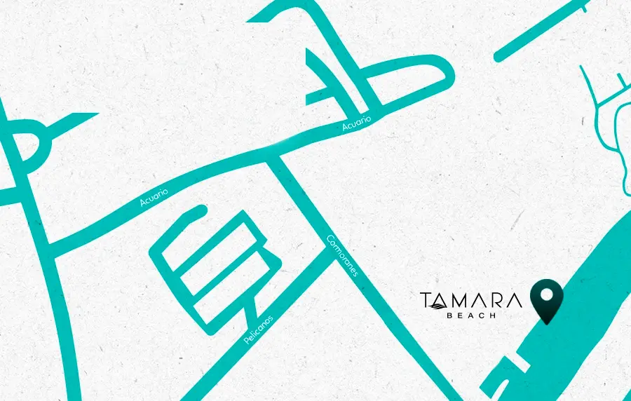 mapa_tamara.webp